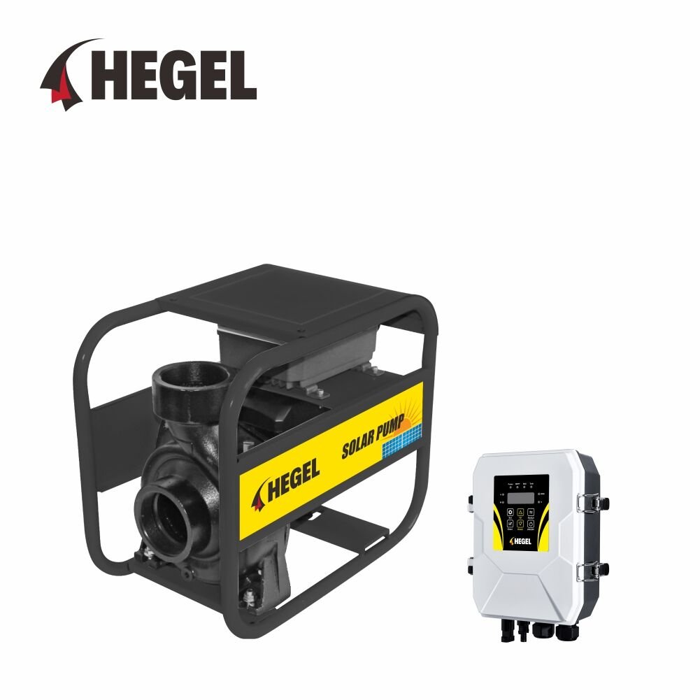 HEGEL 110V 1500W DC SOLAR SALYANGOZ YÜZEY POMPASI